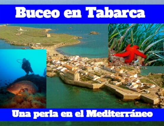 El buceo en Tabarca
