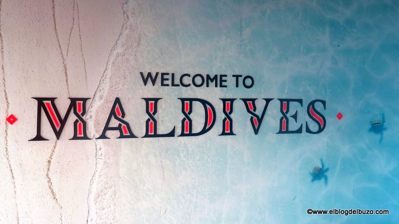 Maldivas. Un buen destino para bucear con tiburones.
