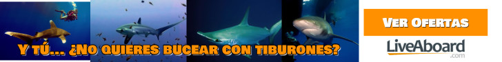 Ofertas de buceo con tiburones
